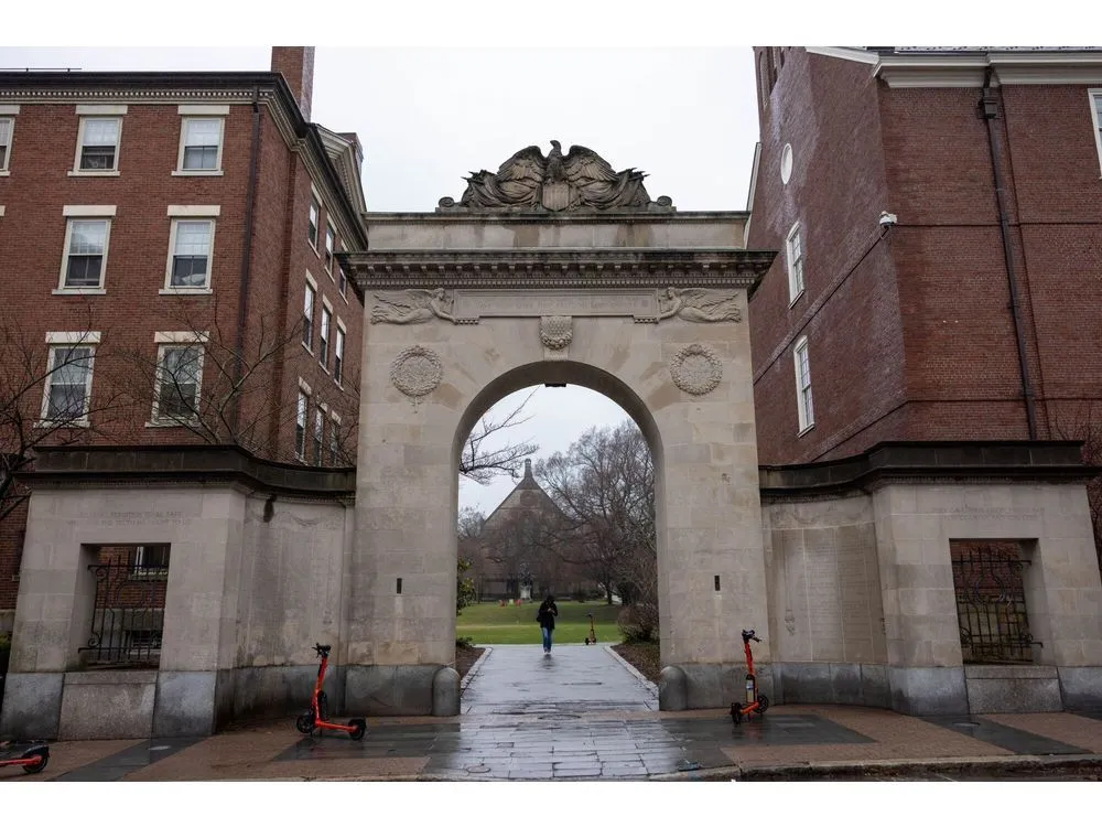 Tech Education Revolution: Universities Redefine Workforce Training